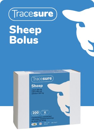 TraceSure Sheep Sheep Supplements