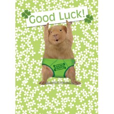 Good Luck Card Lucky Pants