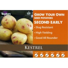 Taylor's Bulbs Seed Potatoes Kestrel 2kg