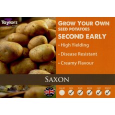 Taylor's Bulbs Seed Potatoes Saxon 2kg