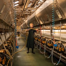 Xpert Swampmaster No Sweat Stormgear Waterproof Dairy Apron Green Xpert Swampmaster No Sweat Stormgear Waterproof Dairy Apron Green