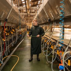 Xpert Swampmaster No Sweat Stormgear Waterproof Dairy Gown Green Xpert Swampmaster No Sweat Stormgear Waterproof Dairy Gown Green