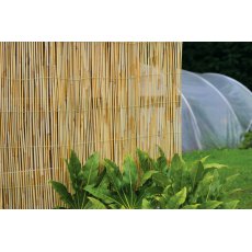 Treadstone Natural Reed Screen Treadstone Natural Reed Screen