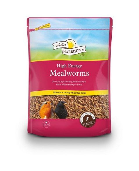Harrison's High Energy Mealworms