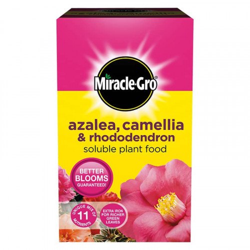 SCOTTS Miracle Gro Azalea Plant Food 500g