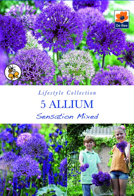 De Ree De Rees Allium Sensation Mixed Bulbs