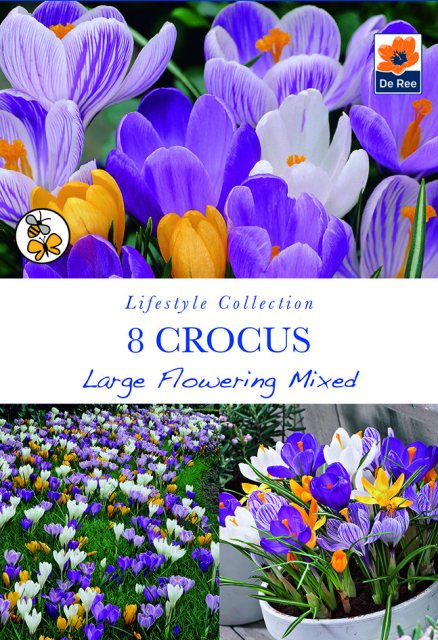 De Ree De Rees Crocus Large Flowering Bulbs