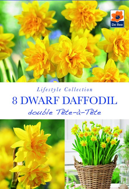 De Ree De Rees Daffodil Double Tete a Tete Bulbs