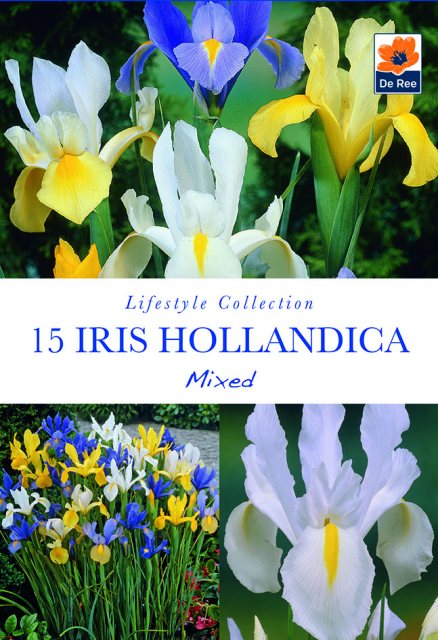De Ree De Rees Iris Hollandica Mixed Bulbs