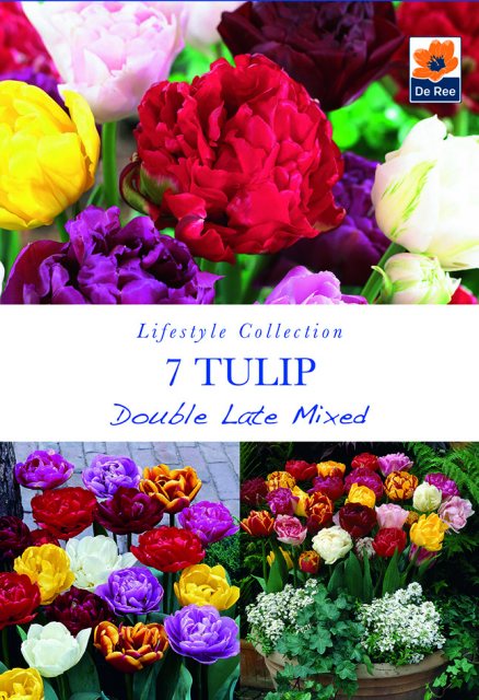 De Ree De Rees Tulip Double Late Mixed Bulbs