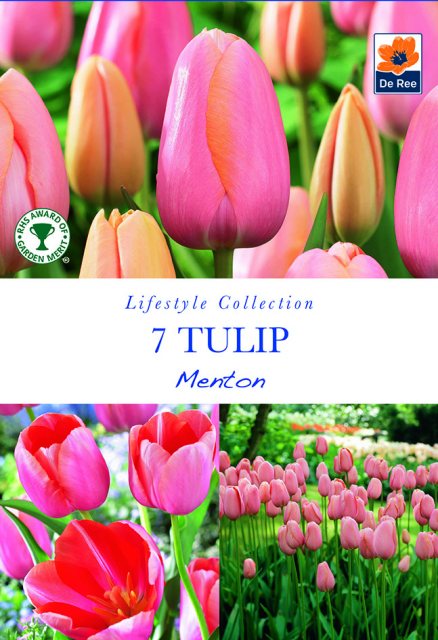 De Ree De Rees Tulip Menton Single Late Bulbs