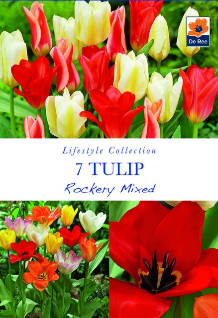 De Ree De Rees Tulip Rockery Mixed Bulbs