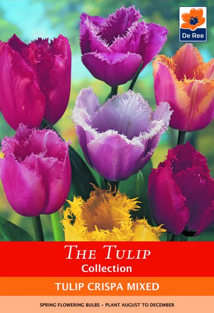 De Ree De Rees Tulip Crispa Mixed Bulbs