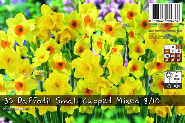 De Ree De Rees Daffodil Small Cupped Mix Bulbs