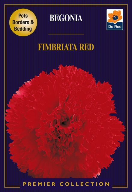 De Ree Begonia Fimbriata Red Bulb