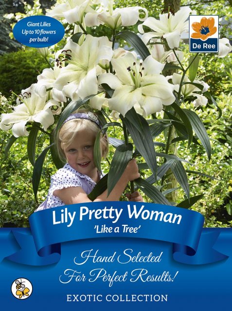 De Ree Lily Pretty Woman Bulb