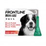 FRONTLINE+ DOG XL 3 PIPETTES