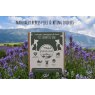 M GARDEN Mountain Garden Lavender & Lemongrass Shampoo Bar