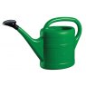 *CAN WATER 10L GREEN