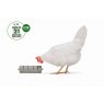 SNACK ROLLER POULTRY GREY BEEZTEES