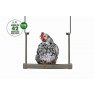 SWING POULTRY GREY BEEZTEES