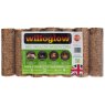 WILLOGLO Willoglow Briquettes 7 Pack