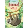 Usborne Snap Cards Game Assorted