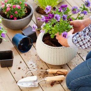 Gardening