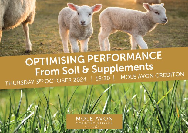 Optimising performance from soil &amp; supplements