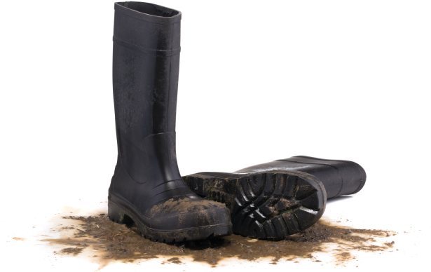 Types of Wellington Boots