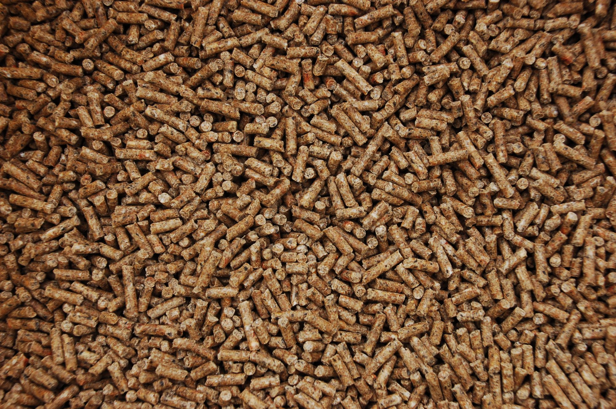 pig-early-grower-pellet-25kg-cmc-pig-feed-mole-avon