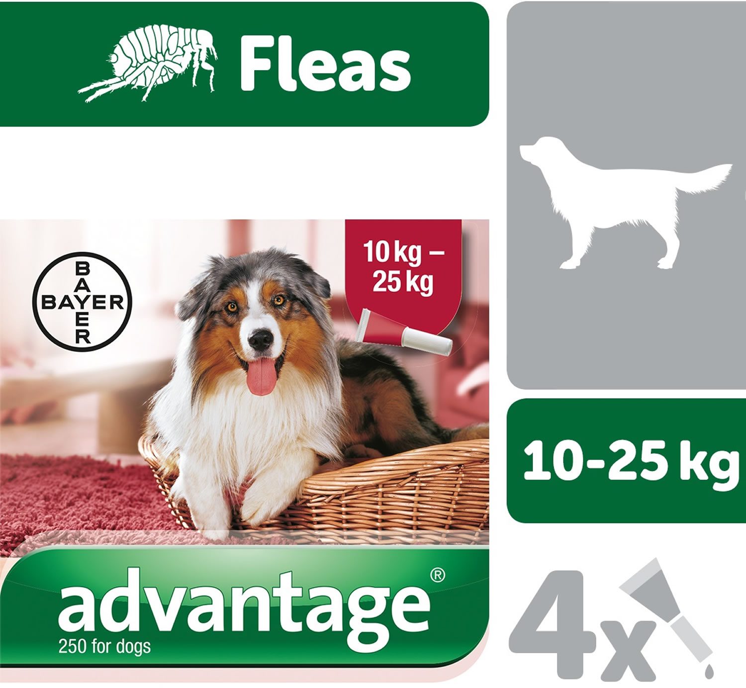 Bayer dog hotsell flea treatment