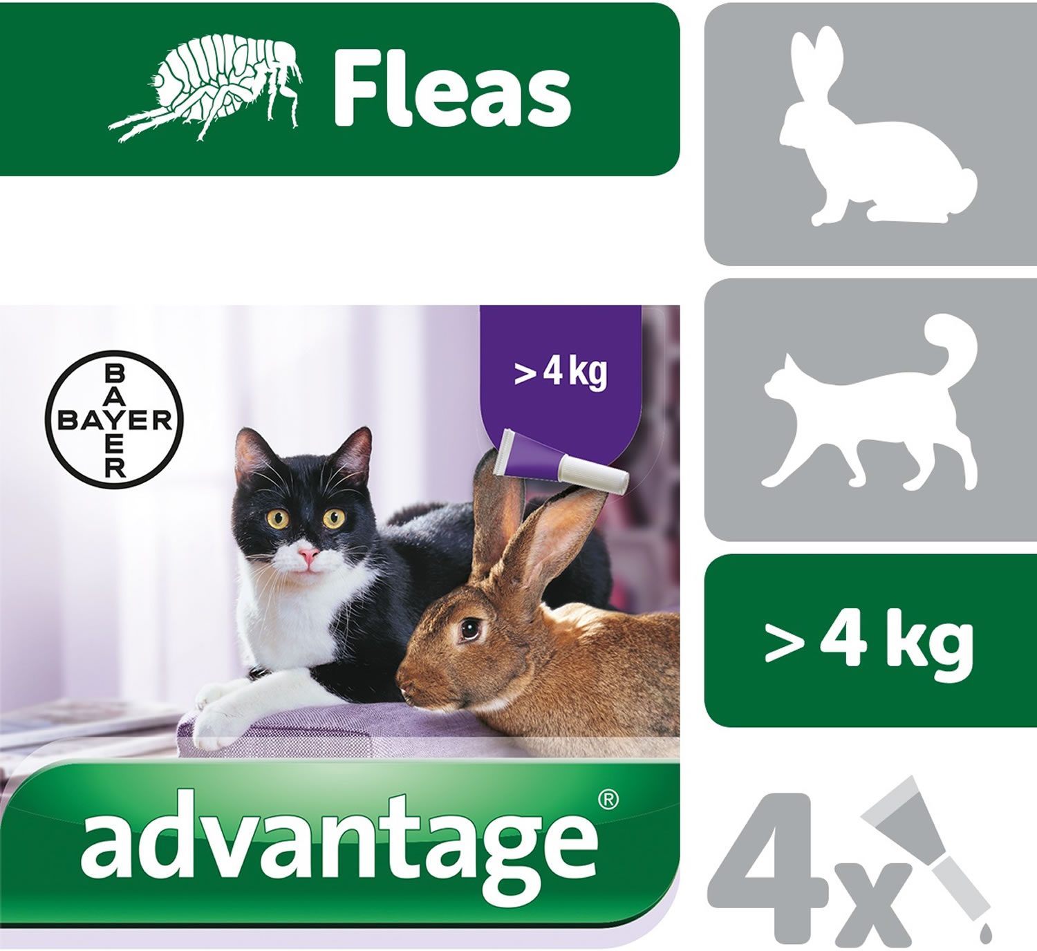 Bayer advantage flea treatment for outlet cats