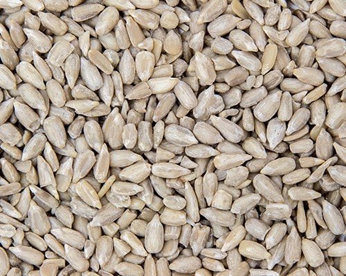 sunflower hearts 20 kg