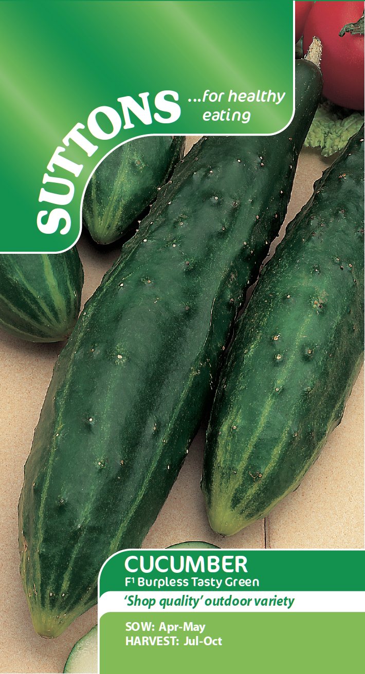 Suttons Cucumber Burpless Tasty Green F1 Seeds Salad Mole Avon