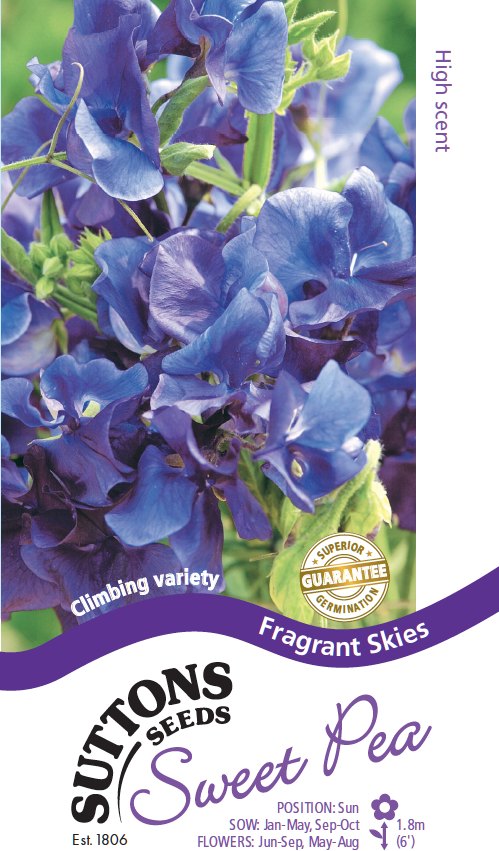 Suttons Suttons Sweet Pea Fragrant Skies Seeds Springsummer Flowers Mole Avon 5577