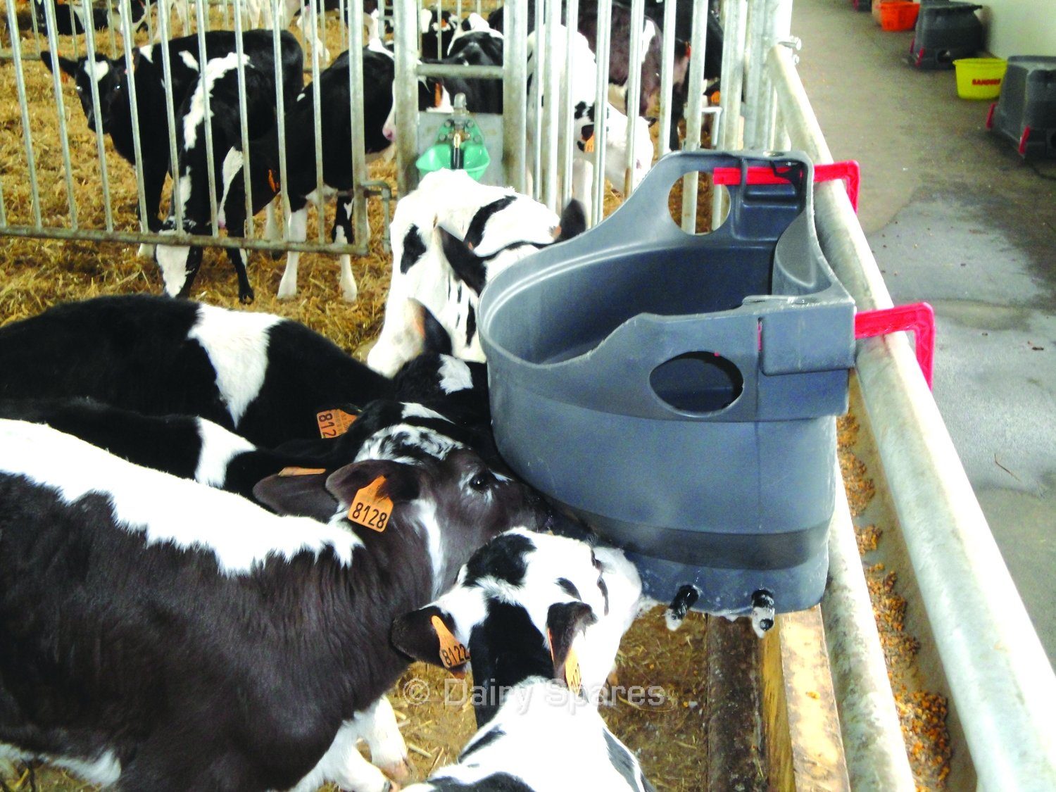 Milk Bar 10 Teat Calf Feeder - Feeders - Mole Avon