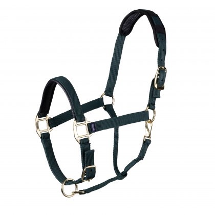 Bridle Wear