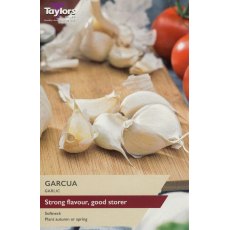Taylor's Bulbs Garcua Garlic Bulbs Taylor's Bulbs Garcua Garlic Bulbs