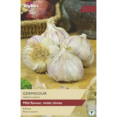 Taylor's Bulbs Germidour French Garlic Bulbs Taylor's Bulbs Germidour French Garlic Bulbs