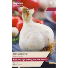 Taylor's Bulbs Messidrome French Garlic Bulbs Taylor's Bulbs Messidrome French Garlic Bulbs