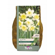 Taylor's Bulbs Ice Follies Narcissi Bulbs 2kg Taylor's Bulbs Ice Follies Narcissi Bulbs 2kg
