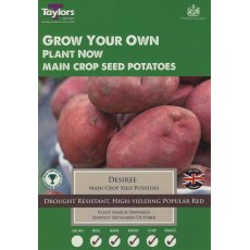 Taylor's Bulbs Seed Potatoes Desiree 10 Pack