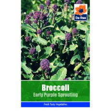 Broccoli Early Purple Sprouting Seeds