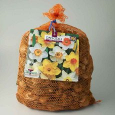 Taylor's Bulbs Narcissi Mixed Naturalising 5kg Taylor's Bulbs Narcissi Mixed Naturalising 5kg