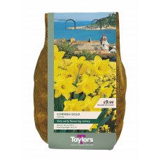 Taylor's Bulbs Narcissi Cornish Gold Bulbs 2kg Taylor's Bulbs Narcissi Cornish Gold Bulbs 2kg