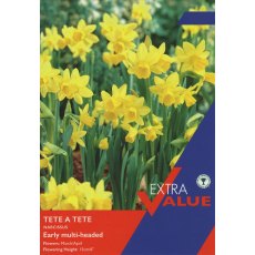 Taylor's Bulbs Narcissi Tete A Tete 25 Bulbs Taylor's Bulbs Narcissi Tete A Tete 25 Bulbs