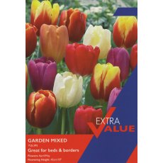 Taylor's Bulbs Garden Tulip Mixed Bulbs Taylor's Bulbs Garden Tulip Mixed Bulbs