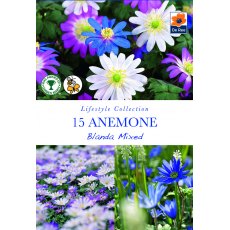 De Rees Anemone Blanda Mixed Bulbs