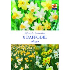 De Rees Daffodil Mixed Bulbs